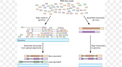 Transcriptome RNA-Seq-साठीचा प्रतिमा निकाल
