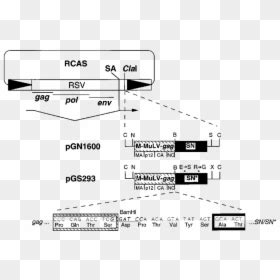 Image result for Cod Player Marker