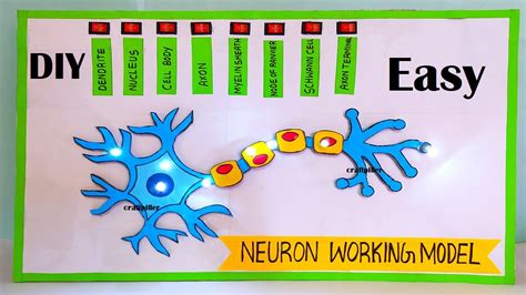 Toradh íomhá ar Neuron Model Kit