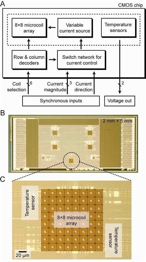 Block diagram and micrographs of the CMOS chip for cell manipulation ...