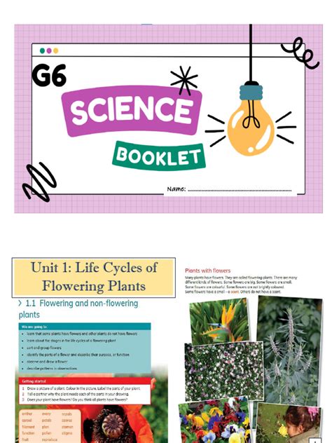 Image result for Science Booklet Hand Out Design Inspiration
