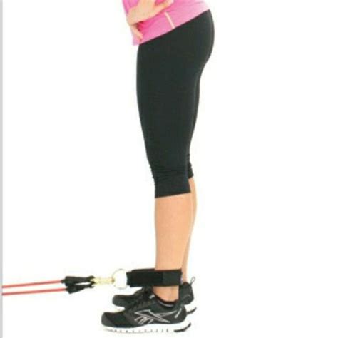 Image result for Rear Leg Raises