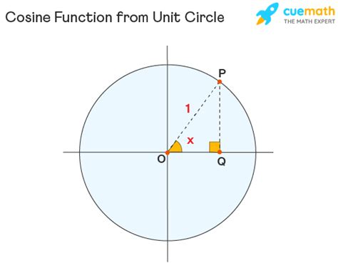 Image result for Positive Cosine Function