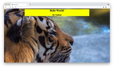 HTML background image guide | sebhastian