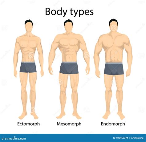 Image result for Most Fit Body Types
