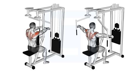 Toradh íomhá ar Ytw Band Exercise