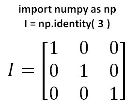 Martriz Python에 대한 이미지 결과