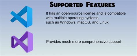 Toradh íomhá ar vs Code vs Visual Studio Professional