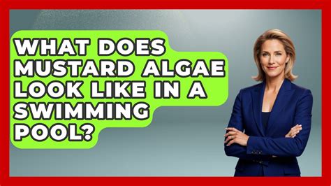 Image result for What Does Mustard Algae Look Like in Pool