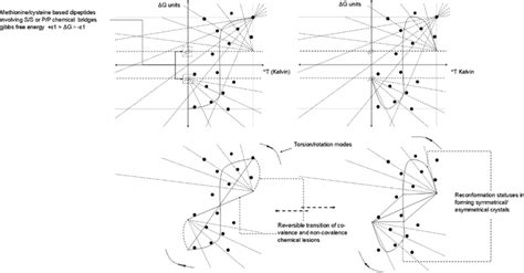 Afbeeldingsresultaten voor Exponent Structure