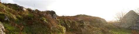 Image result for Islay Spring
