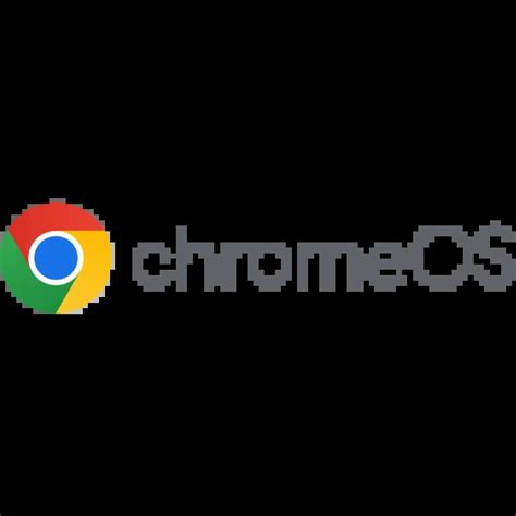 Image result for Chrome OS Icon
