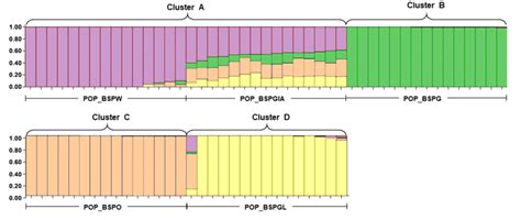Image result for Compass 2020