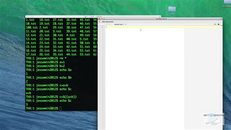 Toradh íomhá ar Shell Scipt Bash-Scripting Icon
