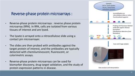 Toradh íomhá ar Protein Microarray Cartoon Images