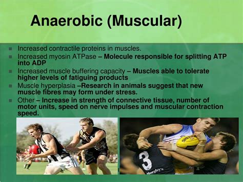 Image result for Adaptation Principle