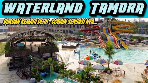 Image result for Tamora Waterland