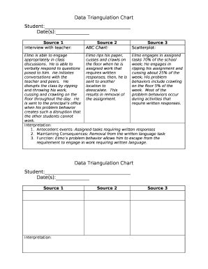 Data Triangulation Example に対する画像結果