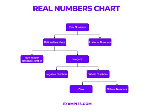 Image result for Types of Numbers Chart