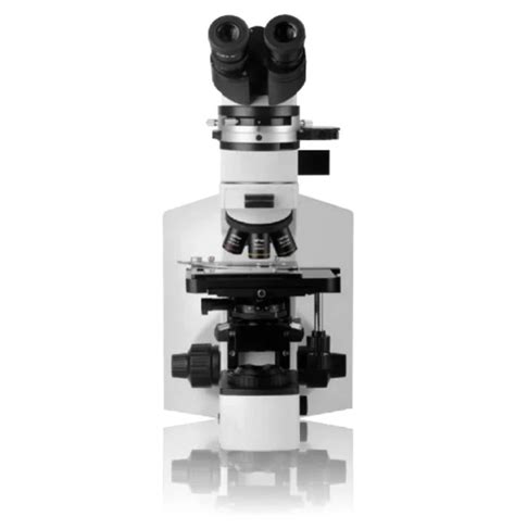 Image result for High Power Field Microscope