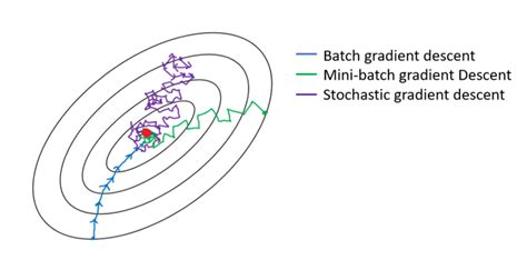 Image result for Stochastic Gradient Descent On Quadratic Equation