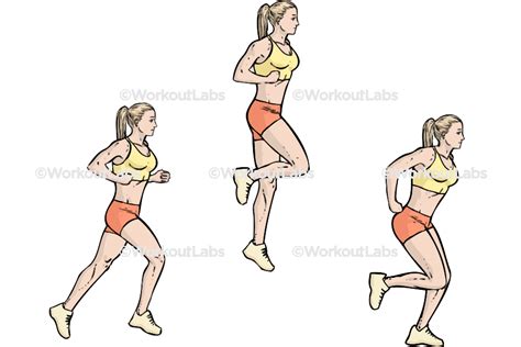 Fast Hopping Exercise に対する画像結果