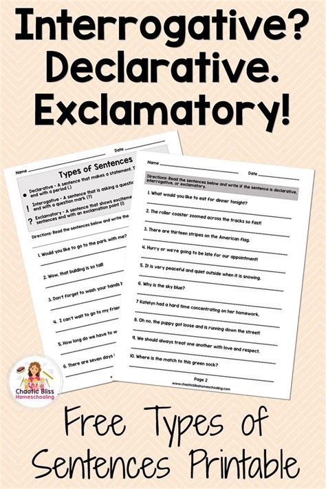 Image result for Types of Sentences Worksheet for Class 5