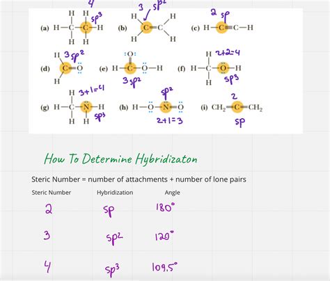 Image result for Hybridized State