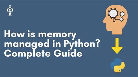 Image result for Memory Diagram for List Python