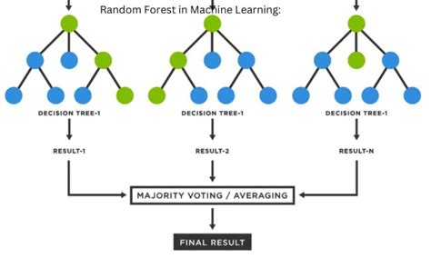 Afbeeldingsresultaten voor Random Forest Algorithm PNG