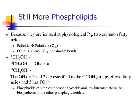 Toradh íomhá ar Lipids Introduction