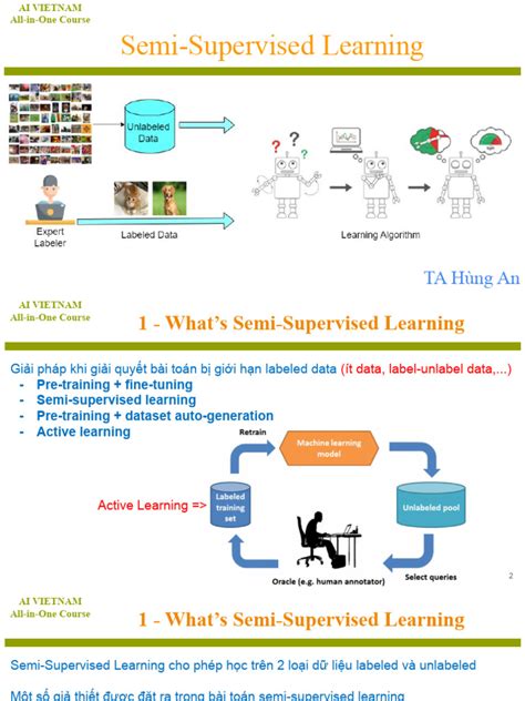 Image result for Semi Supervised Learning PDF