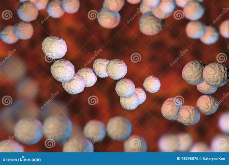 Image result for Strep Gram-positive