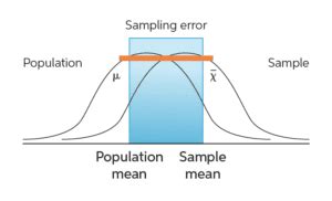 Sampling Distribution and Standard Error に対する画像結果