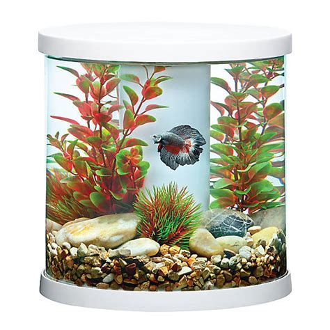 PetSmart 125 Gallon Aquarium に対する画像結果