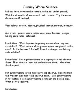 Spring Science Worksheets に対する画像結果