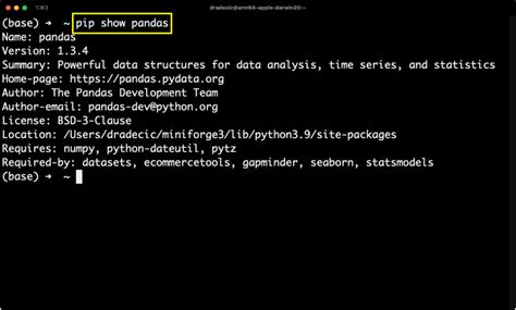 How to Install the Specific Version of PIP in Python に対する画像結果