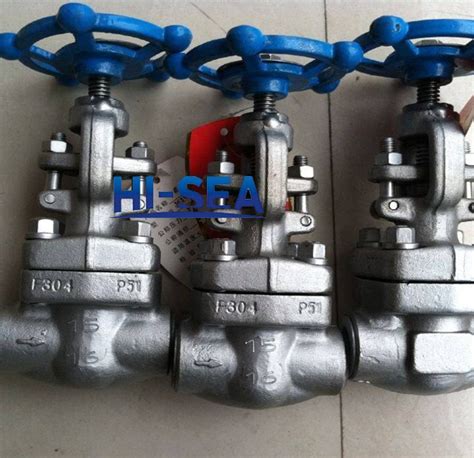 Image result for Forging Gate Valve