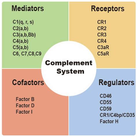 Complement System Character に対する画像結果