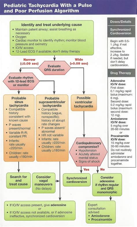 Afbeeldingsresultaten voor Tachycardic Algorithm