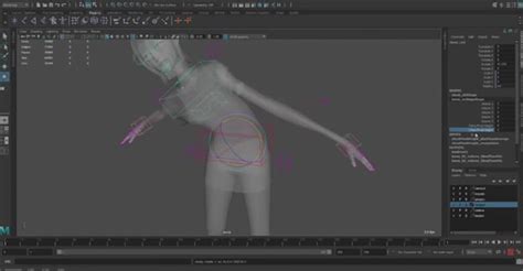 Image result for Maya 3D Rig Ik