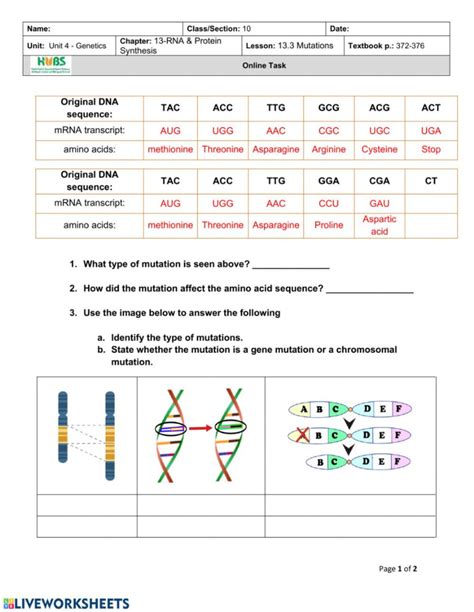 Image result for Mutation Foldable Answer Key