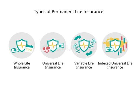 Image result for Types of Life Insurance Vector Png