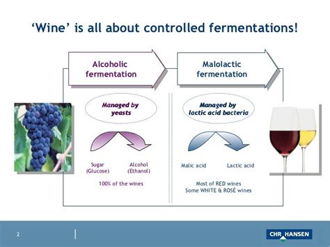 Wine Making Process Malolactic Fermentation に対する画像結果