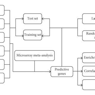 Image result for Microarray Data Flow Chart