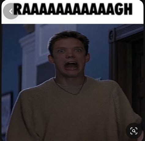 Image result for 20 Foot Python