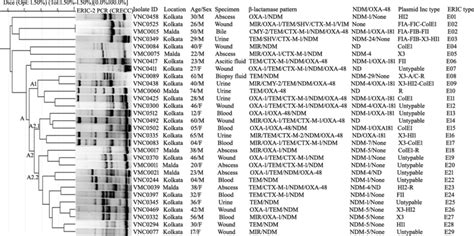 Toradh íomhá ar Complex Dendrogram