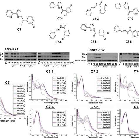 Afbeeldingsresultaten voor Cycle Graph C7