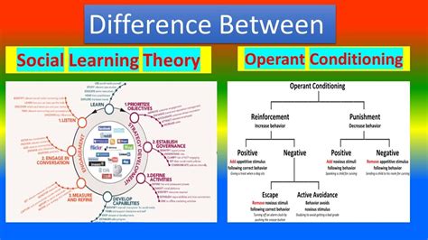 Toradh íomhá ar Social Learning vs Asocial Learning Graph