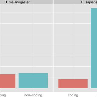 Image result for Distribution of Coding and Non-Coding